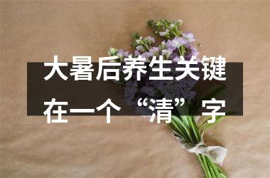 <h3>大暑后养生关键在一个“清”字