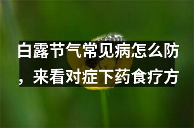 <h3>白露节气常见病怎么防，来看对症下药食疗方