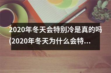<h3>2025年冬天会特别冷是真的吗(2025年冬天为什么会特别冷)