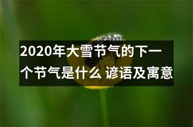 <h3>2025年大雪节气的下一个节气是什么 谚语及寓意