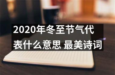 <h3>2025年冬至节气代表什么意思 美诗词