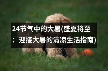<h3>24节气中的大暑(盛夏将至：迎接大暑的清凉生活指南)