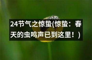 <h3>24节气之惊蛰(惊蛰：春天的虫鸣声已到这里！)