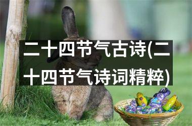 二十四节气古诗(二十四节气诗词精粹)