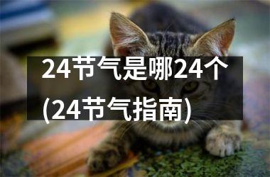 24节气是哪24个(24节气指南)