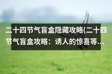 二十四节气盲盒隐藏攻略(二十四节气盲盒攻略：诱人的惊喜等你开启)