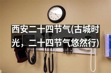 <h3>西安二十四节气(古城时光，二十四节气悠然行)