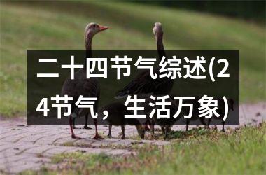 <h3>二十四节气综述(24节气，生活万象)