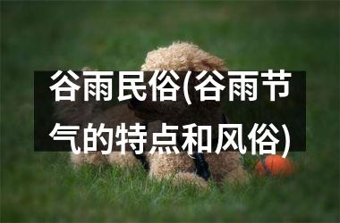 <h3>谷雨民俗(谷雨节气的特点和风俗)