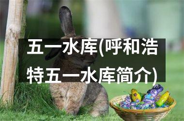 <h3>五一水库(呼和浩特五一水库简介)