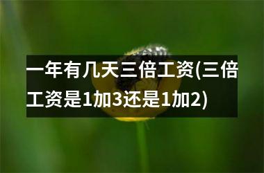 <h3>一年有几天三倍工资(三倍工资是1加3还是1加2)