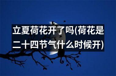 立夏荷花开了吗(荷花是二十四节气什么时候开)