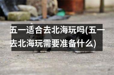 <h3>五一适合去北海玩吗(五一去北海玩需要准备什么)