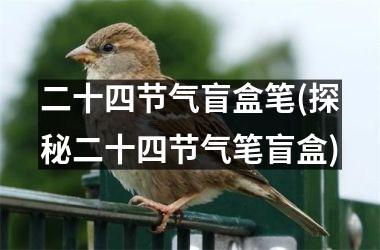 二十四节气盲盒笔(探秘二十四节气笔盲盒)
