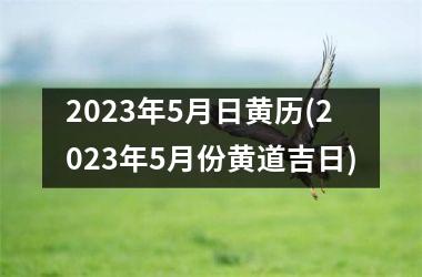 <h3>2025年5月日黄历(2025年5月份黄道吉日)