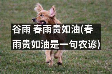 <h3>谷雨 春雨贵如油(春雨贵如油是一句农谚)
