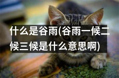 <h3>什么是谷雨(谷雨一候二候三候是什么意思啊)