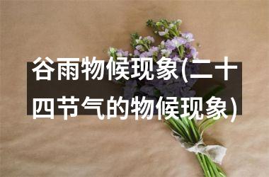 谷雨物候现象(二十四节气的物候现象)