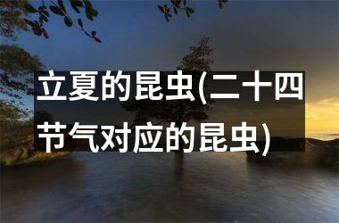 <h3>立夏的昆虫(二十四节气对应的昆虫)