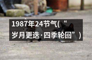 <h3>1987年24节气(“岁月更迭·四季轮回”)