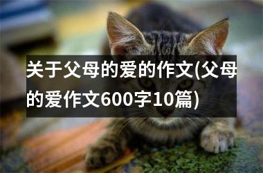 <h3>关于父母的爱的作文(父母的爱作文600字10篇)