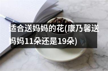 <h3>适合送妈妈的花(康乃馨送妈妈11朵还是19朵)