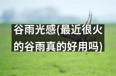 <h3>谷雨光感(最近很火的谷雨真的好用吗)