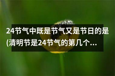 <h3>24节气中既是节气又是节日的是(清明节是24节气的第几个节气)