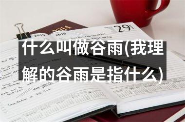 <h3>什么叫做谷雨(我理解的谷雨是指什么)