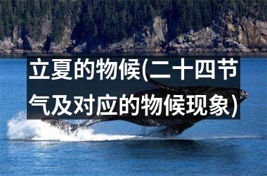 <h3>立夏的物候(二十四节气及对应的物候现象)