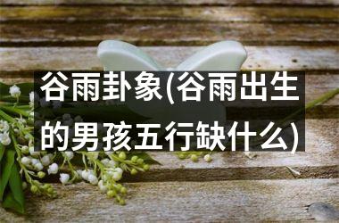 谷雨卦象(谷雨出生的男孩五行缺什么)