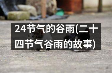 <h3>24节气的谷雨(二十四节气谷雨的故事)