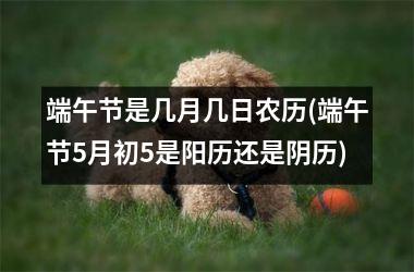 <h3>端午节是几月几日农历(端午节5月初5是阳历还是阴历)