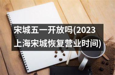宋城五一开放吗(2025上海宋城恢复营业时间)