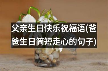 <h3>父亲生日快乐祝福语(爸爸生日简短走心的句子)