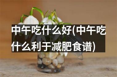 中午吃什么好(中午吃什么利于减肥食谱)