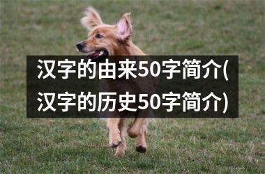 <h3>汉字的由来50字简介(汉字的历史50字简介)