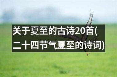 <h3>关于夏至的古诗20首(二十四节气夏至的诗词)