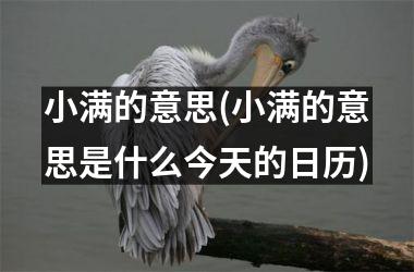 <h3>小满的意思(小满的意思是什么今天的日历)