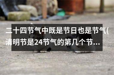 <h3>二十四节气中既是节日也是节气(清明节是24节气的第几个节气)