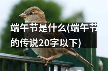 <h3>端午节是什么(端午节的传说20字以下)
