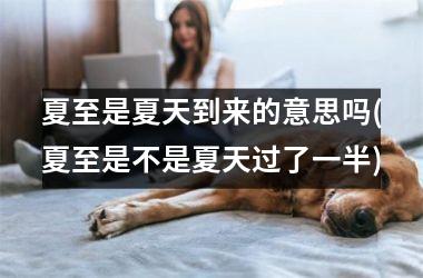 <h3>夏至是夏天到来的意思吗(夏至是不是夏天过了一半)