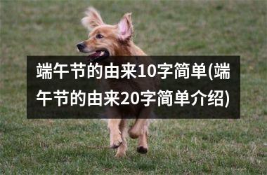 <h3>端午节的由来10字简单(端午节的由来20字简单介绍)