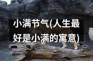 <h3>小满节气(人生最好是小满的寓意)