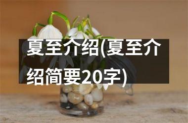 <h3>夏至介绍(夏至介绍简要20字)