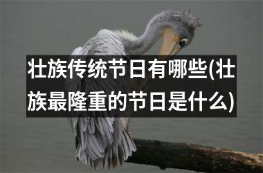 <h3>壮族传统节日有哪些(壮族最隆重的节日是什么)