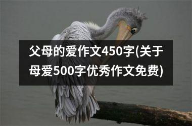 父母的爱作文450字(关于母爱500字优秀作文免费)