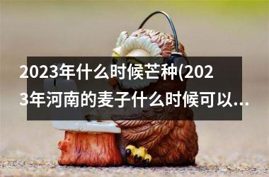 <h3>2025年什么时候芒种(2025年河南的麦子什么时候可以收)
