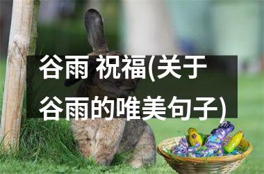 <h3>谷雨 祝福(关于谷雨的唯美句子)