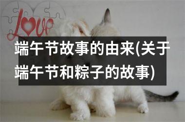<h3>端午节故事的由来(关于端午节和粽子的故事)